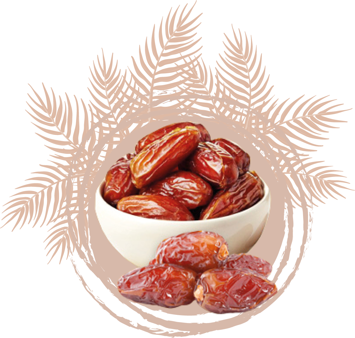 Deglet Nour Dates